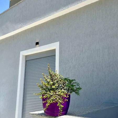 Apartment Xhefri's